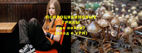 МДПВ Киренск