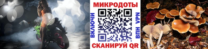 Купить где  Бугуруслан  Галлюциногенные грибы прущие грибы 